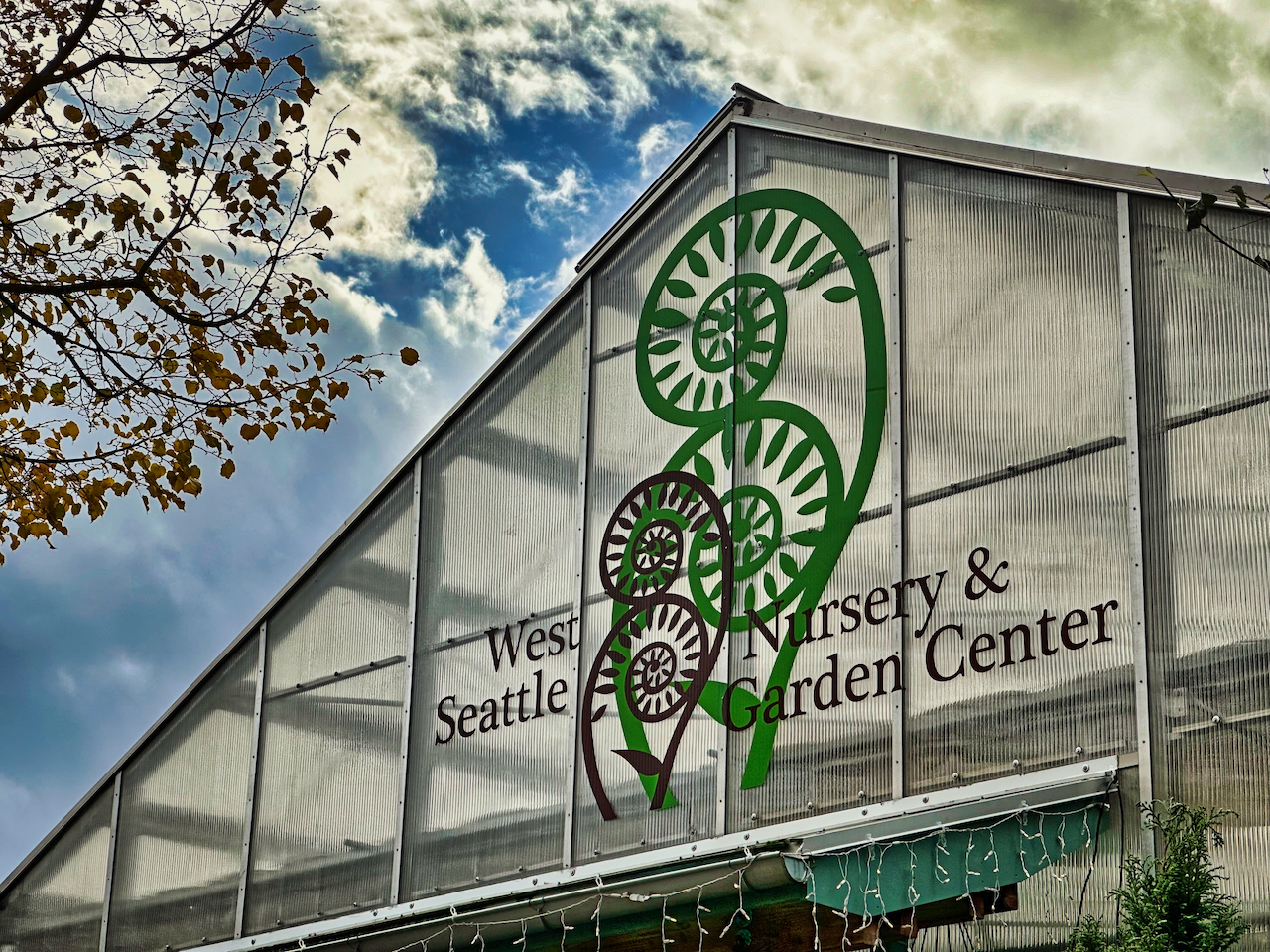 West Seattle Nursery celebrates 40 years of growth Westside Seattle